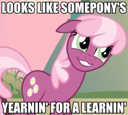Size: 662x599 | Tagged: safe, cheerilee, g4, caption, image macro, looks like somepony's