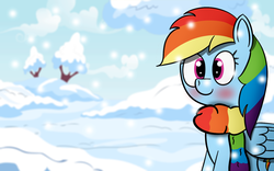 Size: 1440x900 | Tagged: safe, artist:abstract-spectrum, rainbow dash, pony, g4, clothes, female, scarf, snow, snowfall, solo, wallpaper