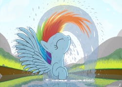 Size: 1920x1372 | Tagged: safe, artist:bcrich40, rainbow dash, pegasus, pony, g4, cute, dashabetes, female, mare, profile, solo, spread wings, water, wet, wet mane, wings