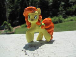 Size: 640x480 | Tagged: safe, artist:dudewheresmylion, carrot top, golden harvest, pony, g4, customized toy, irl, photo, toy