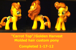 Size: 900x596 | Tagged: safe, artist:maybecatie, carrot top, golden harvest, pony, g4, customized toy, irl, photo, toy