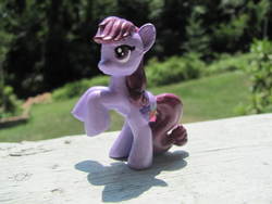 Size: 640x480 | Tagged: safe, artist:dudewheresmylion, berry punch, berryshine, earth pony, pony, g4, bipedal, customized toy, irl, photo, toy