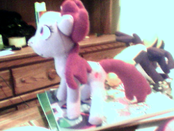 Size: 320x240 | Tagged: safe, artist:fungal-zombie, berry punch, berryshine, g4, irl, photo, plushie, small