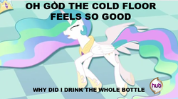 Size: 633x355 | Tagged: safe, princess celestia, pony, g4, alcohol, drunk, female, image macro, meme, solo, tracy