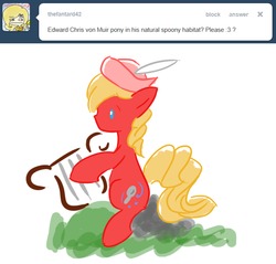 Size: 666x638 | Tagged: safe, artist:ask-the-fantasy-ponies, ask, bard, edward chris von muir, final fantasy, final fantasy iv, harp, musical instrument, ponified, spoony bard, tumblr