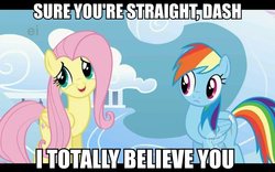 Size: 600x375 | Tagged: safe, screencap, fluttershy, rainbow dash, pegasus, pony, g4, sonic rainboom (episode), caption, cloud, female, hub logo, image macro, mare, meme, sarcastic