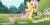 Size: 1259x634 | Tagged: safe, fluttershy, pegasus, pony, whismur, g4, crossover, faic, female, mare, poké ball, pokémon, pokémon advanced, pokémon emerald, pokémon ruby and sapphire, pumbloom