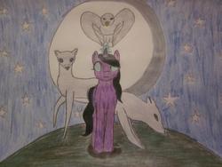 Size: 960x720 | Tagged: artist needed, safe, oc, oc only, deer, eagle, pony, unicorn, wolf, glowing eyes, hill, moon, moonlight, night, photo, stars, traditional art