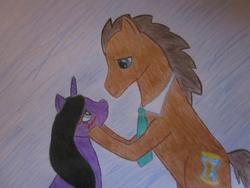 Size: 960x720 | Tagged: safe, doctor whooves, time turner, oc, oc:moonlight, g4, blushing, canon x oc, photo, shipping, traditional art