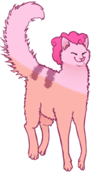 Size: 361x680 | Tagged: safe, artist:vriskarkat, pinkie pie, cat, g4, simple background, solo, species swap, transparent background