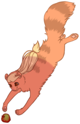 Size: 445x689 | Tagged: safe, artist:vriskarkat, applejack, cat, g4, apple, simple background, solo, species swap, transparent background