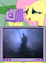 Size: 563x771 | Tagged: safe, fluttershy, kaiju, pony, g4, exploitable meme, fluttercry, godzilla, godzilla (series), godzilla junior, godzilla vs destoroyah, meme, tv meme