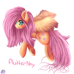 Size: 2500x2500 | Tagged: safe, artist:thechibicatz67, fluttershy, pony, g4, female, solo