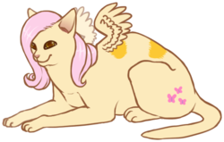 Size: 537x341 | Tagged: safe, artist:vriskarkat, fluttershy, cat, g4, simple background, solo, species swap, transparent background