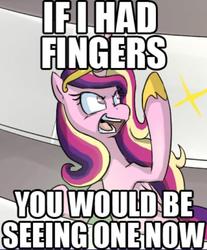 Size: 500x604 | Tagged: safe, artist:uc77, princess cadance, g4, image macro, implied middle finger