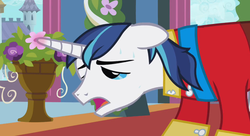 Size: 638x346 | Tagged: safe, screencap, shining armor, g4, invisible mare, out of context