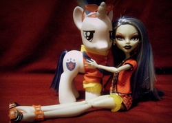Size: 2048x1469 | Tagged: safe, shining armor, pony, g4, customized toy, irl, monster high, photo, toy