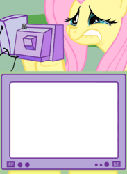 Size: 563x771 | Tagged: safe, fluttershy, pony, g4, blank, exploitable meme, fluttercry, meme, template, tv meme