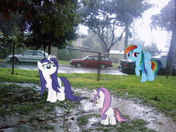 Size: 1024x768 | Tagged: safe, rainbow dash, rarity, sweetie belle, pony, g4, irl, park, photo, ponies in real life, rain, vector, wet, wet mane, wet mane rarity