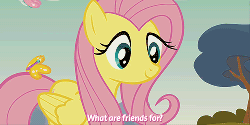 Size: 500x250 | Tagged: safe, screencap, fluttershy, butterfly, pony, g4, season 3, too many pinkie pies, animated, cute, eyes closed, female, floppy ears, i watch it for the ears, image macro, raised hoof, shyabetes, smiling, solo, talking