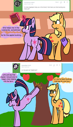 Size: 835x1435 | Tagged: safe, artist:raincupcake, applejack, twilight sparkle, ask twijack, g4, applebucking, ask, bucking, female, golden oaks library, lesbian, library, ship:twijack, shipping, tumblr