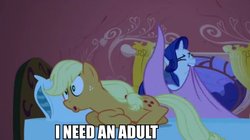 Size: 600x337 | Tagged: safe, edit, edited screencap, screencap, applejack, rarity, g4, look before you sleep, blanket, duo, eyes closed, golden oaks library, i need an adult, image macro, mouth hold, wide eyes