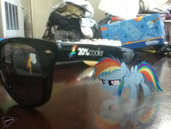 Size: 960x720 | Tagged: safe, artist:utterlyludicrous, rainbow dash, pony, g4, cutie mark, female, filly, filly rainbow dash, irl, photo, ponies in real life, quote, reflection, sunglasses, tissue, vector, young, younger