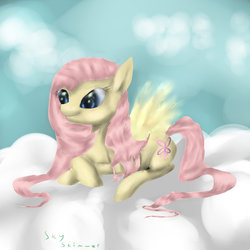 Size: 900x900 | Tagged: safe, artist:wellhader, sky skimmer, pegasus, pony, g2, g4, female, g2 to g4, generation leap, mare, not fluttershy