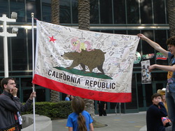 Size: 4000x3000 | Tagged: safe, fluttershy, bear, g4, california, california flag, equestria la, photo