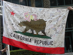 Size: 4000x3000 | Tagged: safe, fluttershy, bear, g4, california, california flag, equestria la, photo, ponified