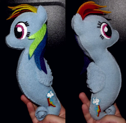 Size: 623x608 | Tagged: artist needed, safe, rainbow dash, sea pony, g4, irl, photo, plushie