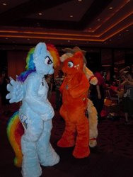 Size: 960x1280 | Tagged: safe, applejack, rainbow dash, human, g4, cosplay, duo focus, fursuit, irl, irl human, looking at each other, looking at someone, photo, ponysuit