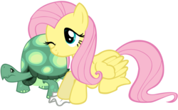 Size: 5000x3093 | Tagged: safe, artist:somepony, fluttershy, tank, pegasus, pony, tortoise, g4, duo, simple background, transparent background, vector