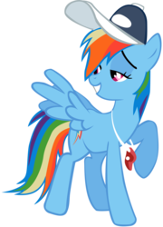 Size: 3604x5000 | Tagged: safe, artist:somepony, rainbow dash, g4, simple background, transparent background, vector