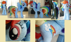 Size: 1944x1144 | Tagged: safe, artist:lavenderextract, rainbow dash, pony, g4, irl, photo, plushie, solo