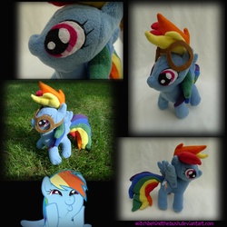 Size: 2000x2000 | Tagged: safe, artist:witchbehindthebush, rainbow dash, pegasus, pony, g4, goggles, irl, multiple views, outdoors, photo, plushie, solo