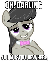 Size: 701x888 | Tagged: safe, artist:blizzy-sky, octavia melody, earth pony, pony, g4, bedroom eyes, caption, condescending octavia, female, image macro, simple background, solo, text, vector, white background