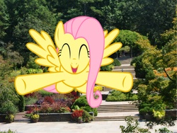 Size: 5000x3750 | Tagged: safe, artist:loboguerrero, artist:rainbowdash2314, derpy hooves, fluttershy, pegasus, pony, g4, cute, eyes closed, flying, garden, hugster fluttershy, incoming hug, irl, open mouth, photo, ponies in real life, shyabetes, smiling, spread wings, steps, underhoof, vector, wings