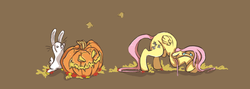 Size: 800x285 | Tagged: safe, artist:ratchatter, angel bunny, fluttershy, g4, jack-o-lantern