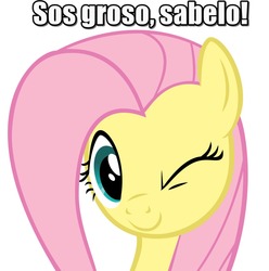 Size: 863x871 | Tagged: safe, fluttershy, g4, spanish, text, texto