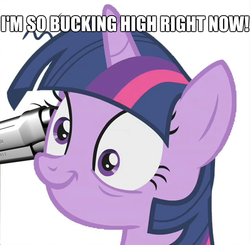 Size: 624x611 | Tagged: safe, twilight sparkle, g4, derp, gun, high, image macro