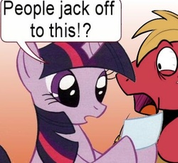 Size: 398x365 | Tagged: safe, big macintosh, twilight sparkle, earth pony, pony, g4, male, reaction image, stallion