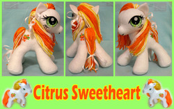 Size: 900x564 | Tagged: safe, artist:krumm33, citrus sweetheart, pony, g3, irl, photo, plushie, solo