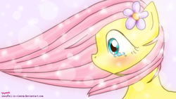Size: 2732x1536 | Tagged: safe, artist:snowfall-in-vienna, fluttershy, g4, crying