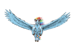 Size: 3000x2000 | Tagged: safe, artist:pwnyville, rainbow dash, horse, pony, g4, female, flying, realistic, simple background, solo, spread wings, sunglasses, transparent background, unshorn fetlocks