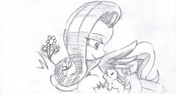 Size: 900x485 | Tagged: safe, artist:cheasyman, angel bunny, fluttershy, g4, monochrome, traditional art