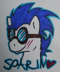 Size: 593x719 | Tagged: safe, artist:haterthepony, soarin', g4, goggles