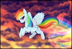 Size: 1500x1020 | Tagged: safe, artist:blossomppg, rainbow dash, pony, g4, female, solo