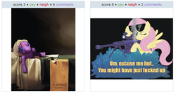 Size: 532x280 | Tagged: safe, fluttershy, twilight sparkle, g4, exploitable meme, juxtaposition, juxtaposition win