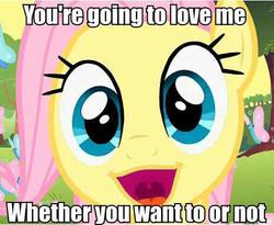 Size: 464x381 | Tagged: safe, fluttershy, g4, faic, image macro, imminent hape, incoming hug, ponyface, you're going to love me